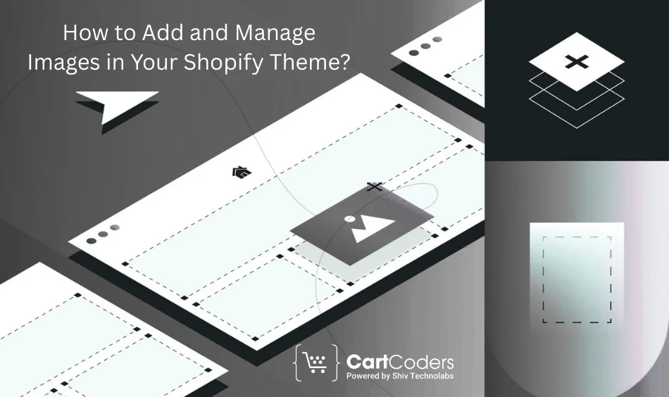 How to Add and Manage Images in Your Shopify Theme?