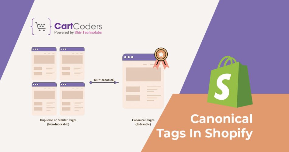 The Ultimate Guide To Adding Canonical Tag in Shopify