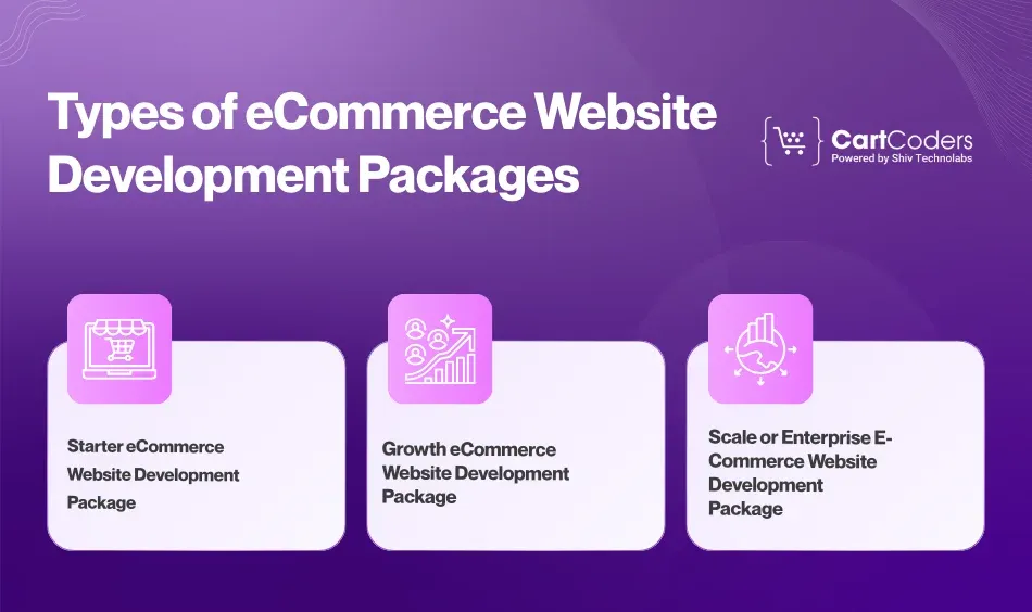 Types of eCommerce Website Development Packages