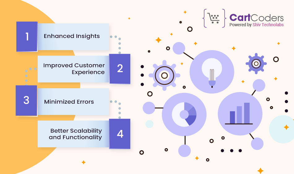Advantages of Custom Integration