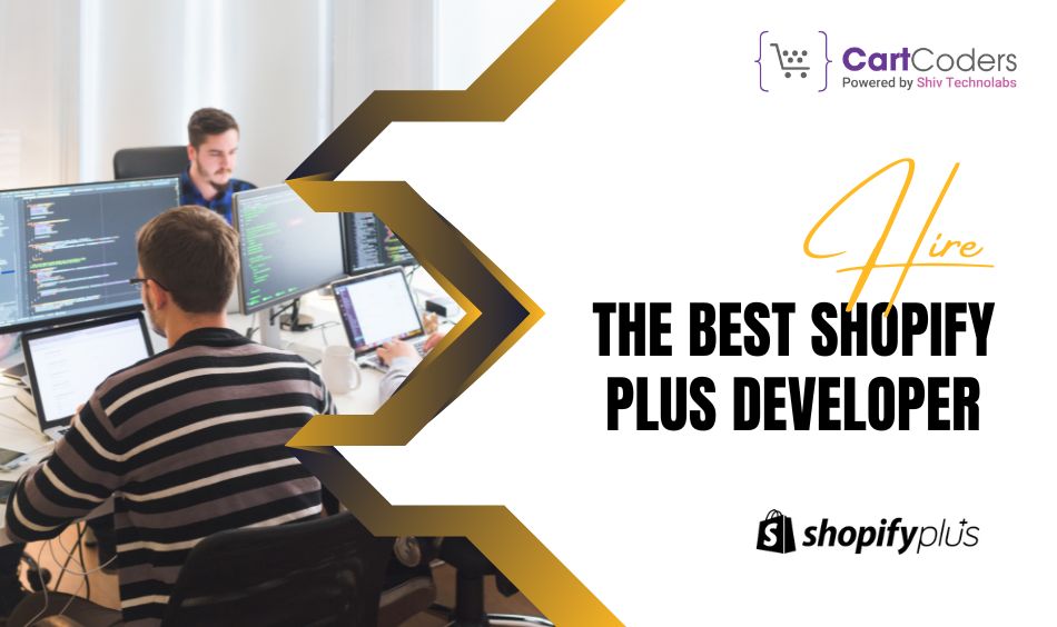 the Best Shopify Plus Developer