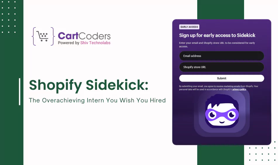 Shopify Sidekick: The Overachieving Intern You Wish You Hired