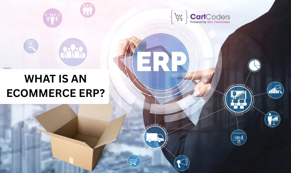 What Is an eCommerce ERP