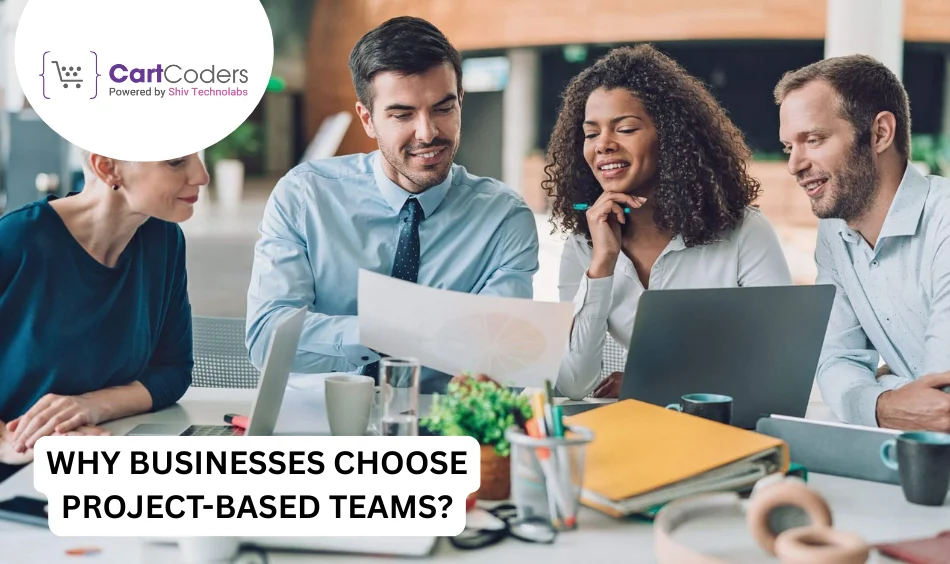 Why Businesses Choose Project-Based Teams?