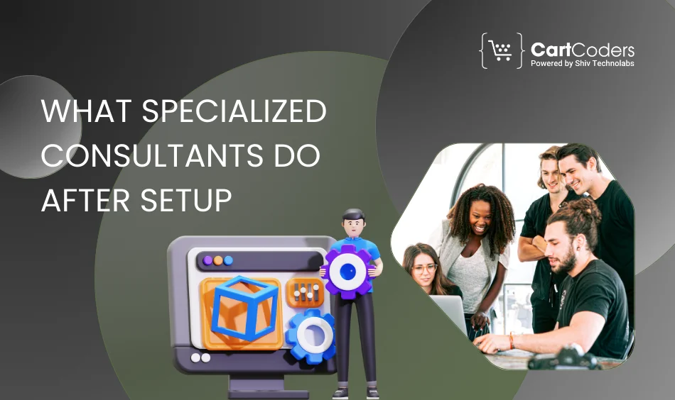 What Specialized Consultants Do After Setup