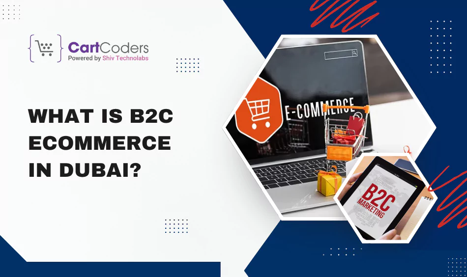 what is b2c ecommerce in dubai