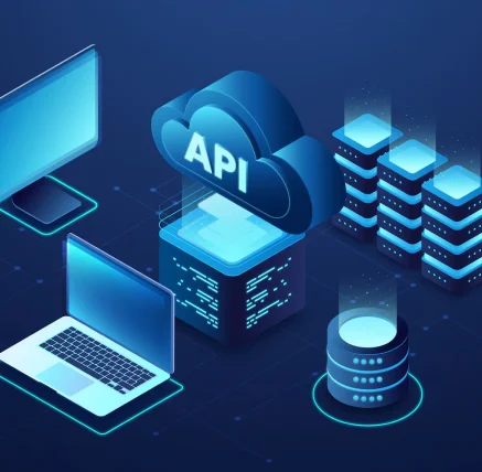 Custom Shopify API Integrations