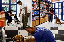 Pet Care & Veterinary Stores