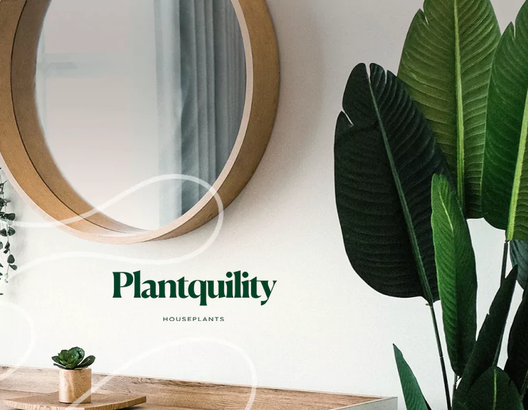 plantqulity