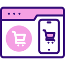 Shopify Plus Custom Development