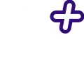 Shopify Plus Development