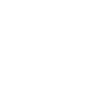 Shopify Speed Optimization