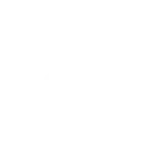 Shopify Store Optimization