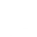 Shopify Theme Customization