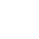 Shopify Website Audit