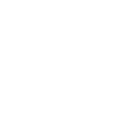 White-label Shopify Development